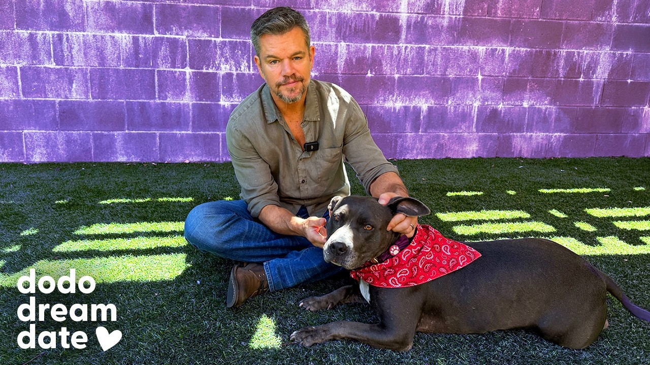 Matt Damon sitting down with an adorable pitt bull