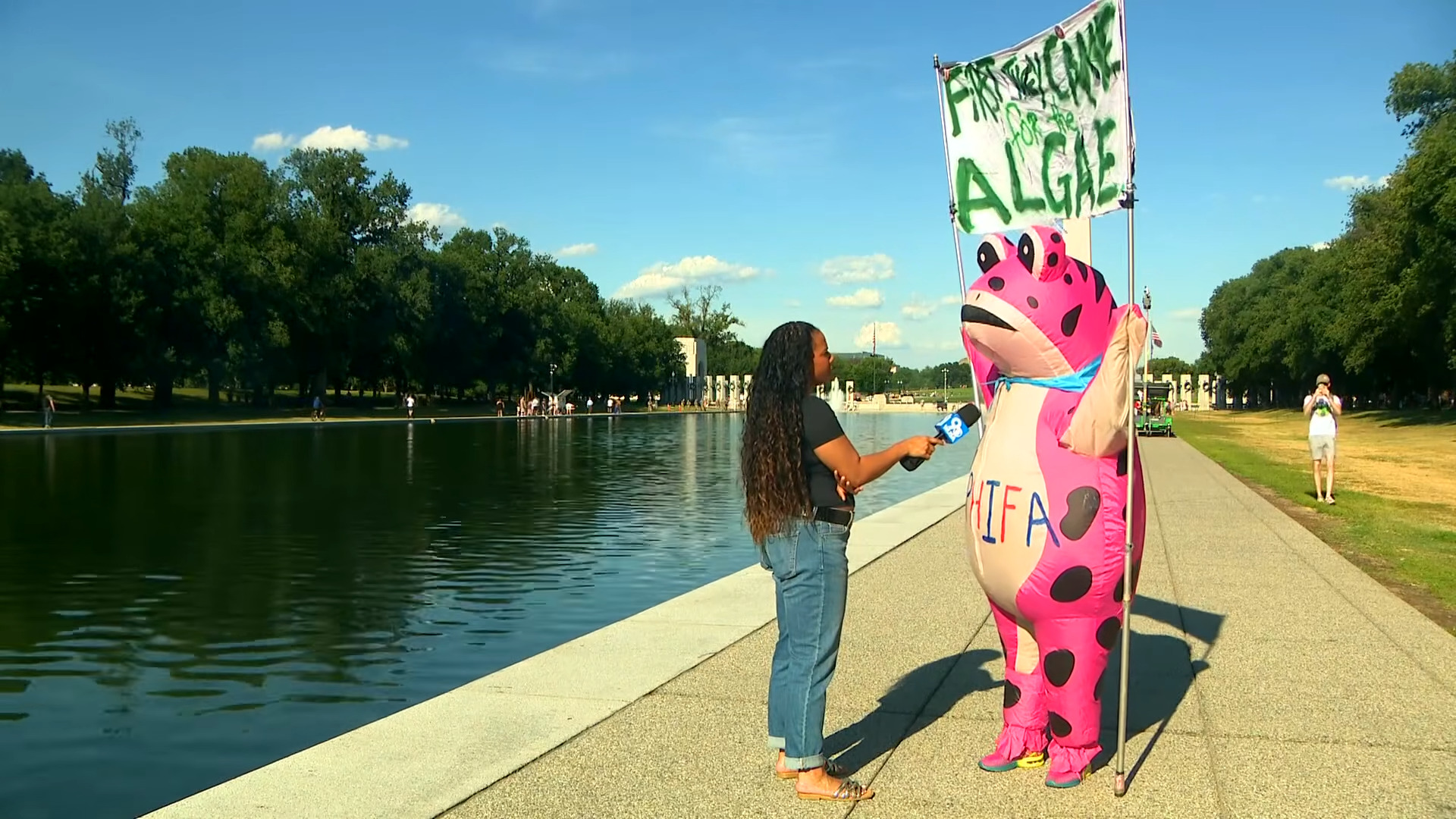 Journalist interviewing someone dressed in a frog inflatable suit by the Reflecting Pool and holding a banner that says First They Came for the Algae, via WUSA9 on YouTube, video below