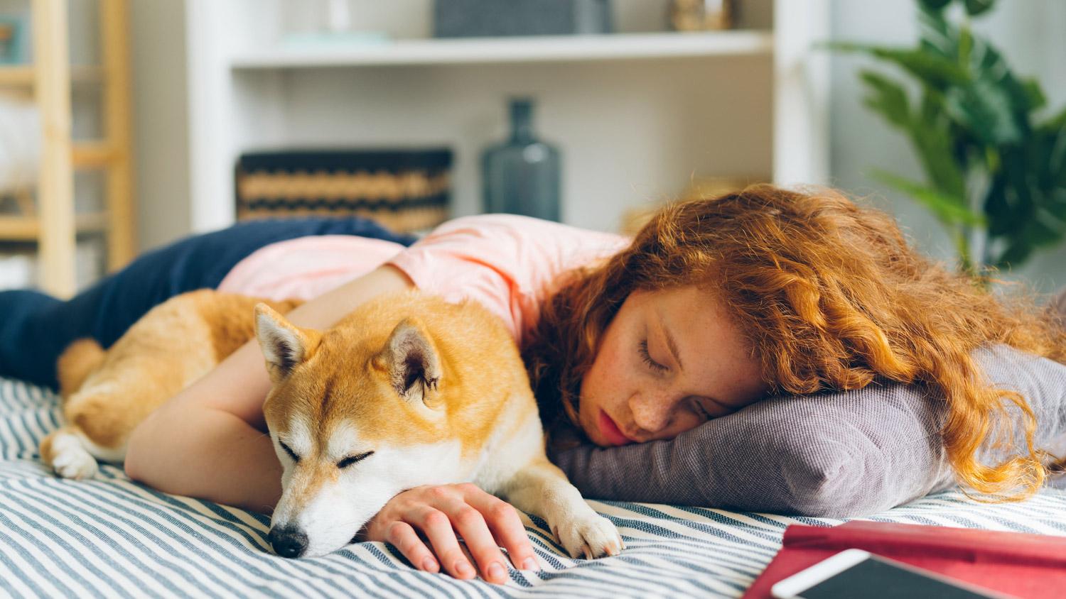 The best time of the day to nap is between 1 and 3pm