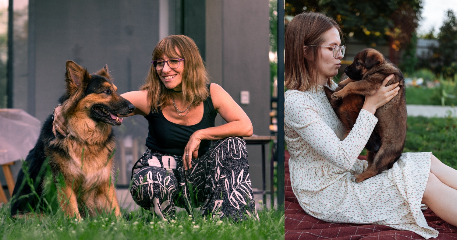 Two photos: Adult German Shepherd sitting looking at an older woman outside. A young woman holds a German Shepherd puppy