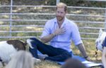 Prince Harry at Scotty's Summer Festival