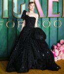European Premiere of WICKED FOR GOOD on Monday 10 November