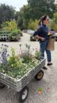 Meghan wagon flowers jeans