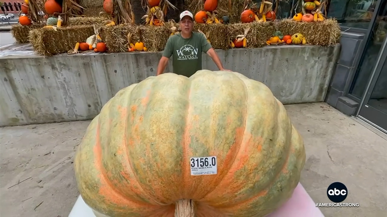 Ron Wallace with his world record breaking pumpkin