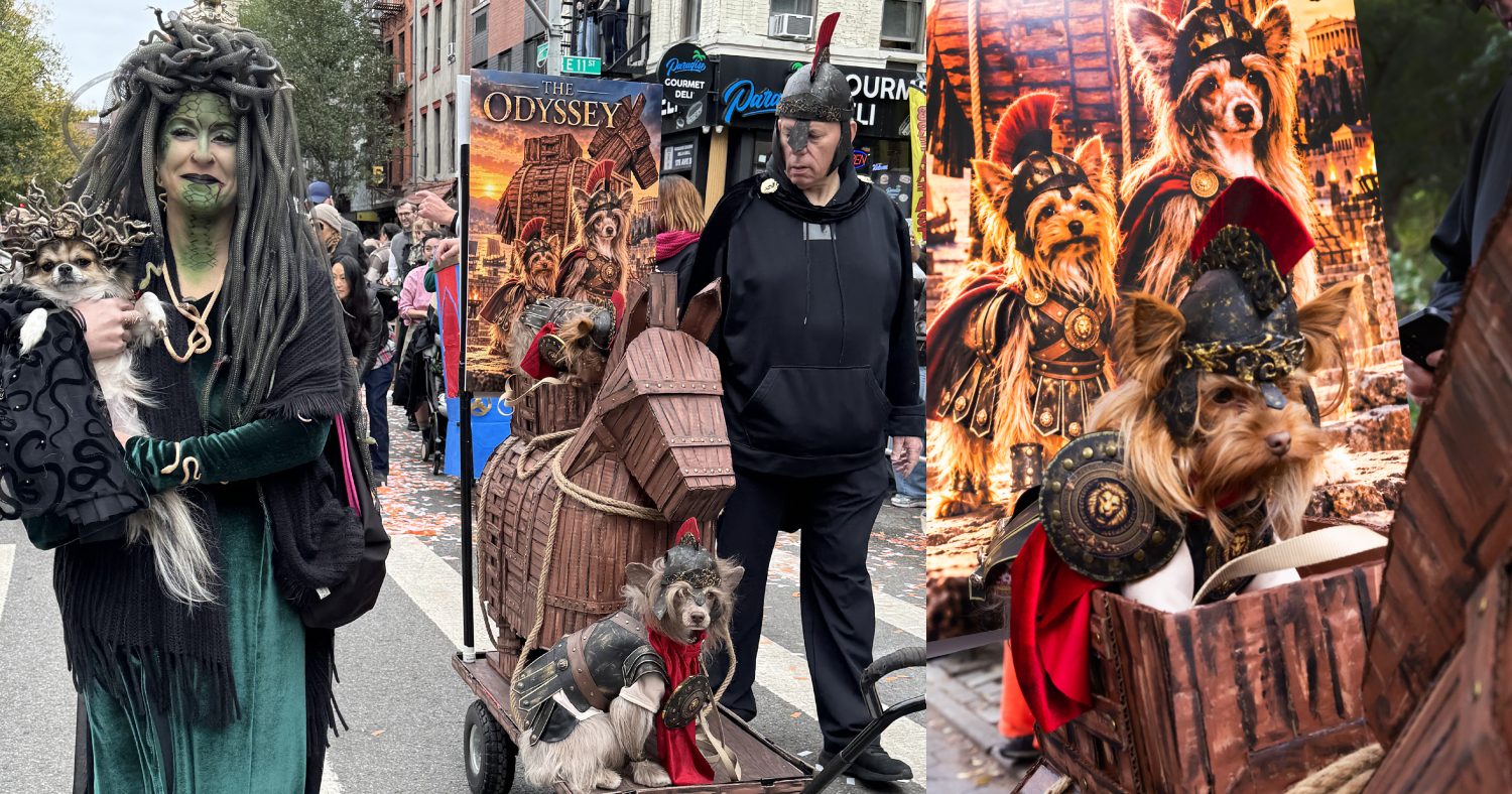 Halloween Dogs - Odyssey Costume