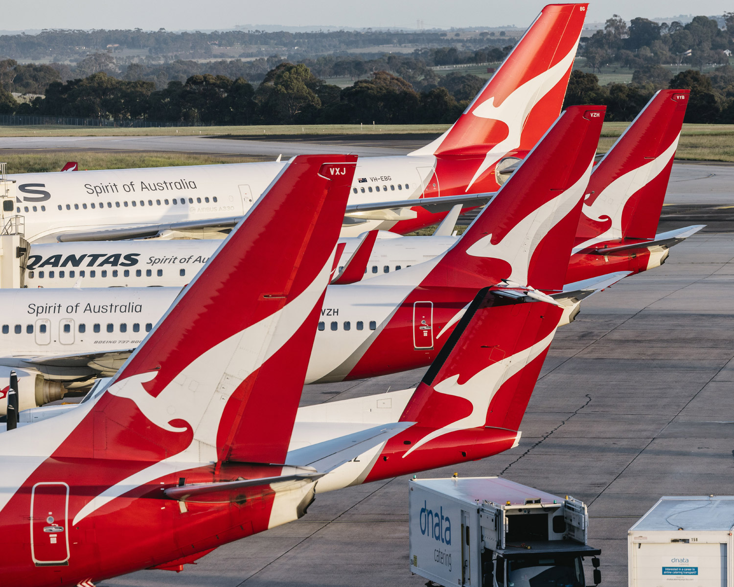 Multiple Qantas airplanes parked at Melbourne Airport, Australia